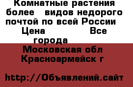 Комнатные растения более200видов недорого почтой по всей России › Цена ­ 100-500 - Все города  »    . Московская обл.,Красноармейск г.